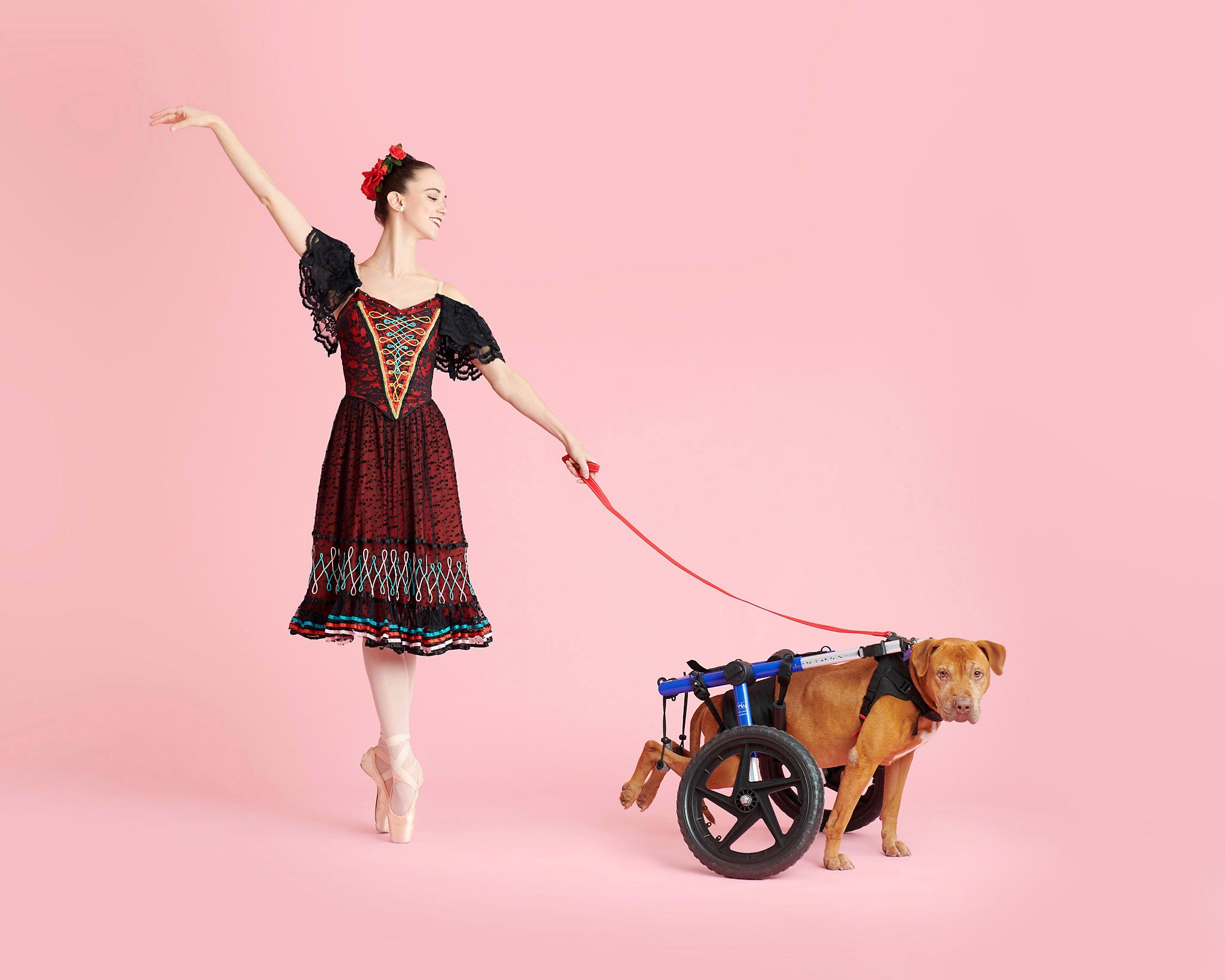 Dancers \u0026 Dogs Teamed Up With a Local Animal Shelter for the